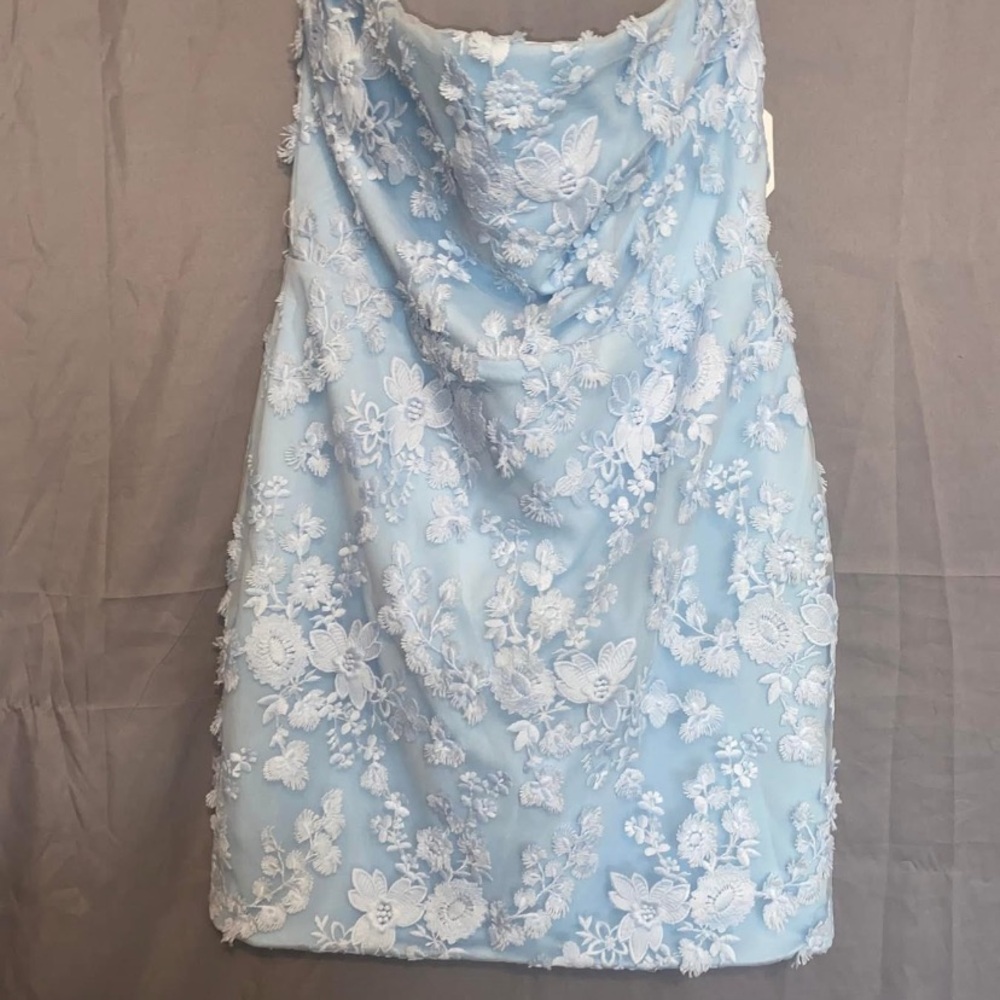 Altar'd State Light Blue Floral Mini Dress